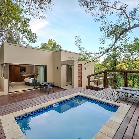 Bushbaby Valley Lodge 雾观 外观 照片