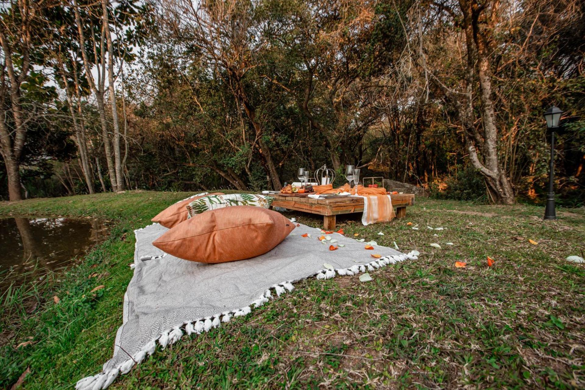 Bushbaby Valley Lodge 雾观 外观 照片